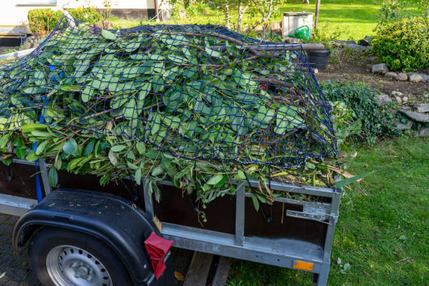 Best Dumpster Rental Services  in Farley, IA